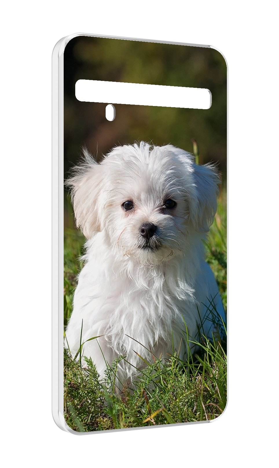 Чехол MyPads мальтииская-болонка для TCL 10 Pro / TCL 10 + Plus, Прозрачный, Tocco
Чехол MyPads мальтииская-болонка для TCL 10 Pro / TCL 10 + Plus, Прозрачный, Tocco