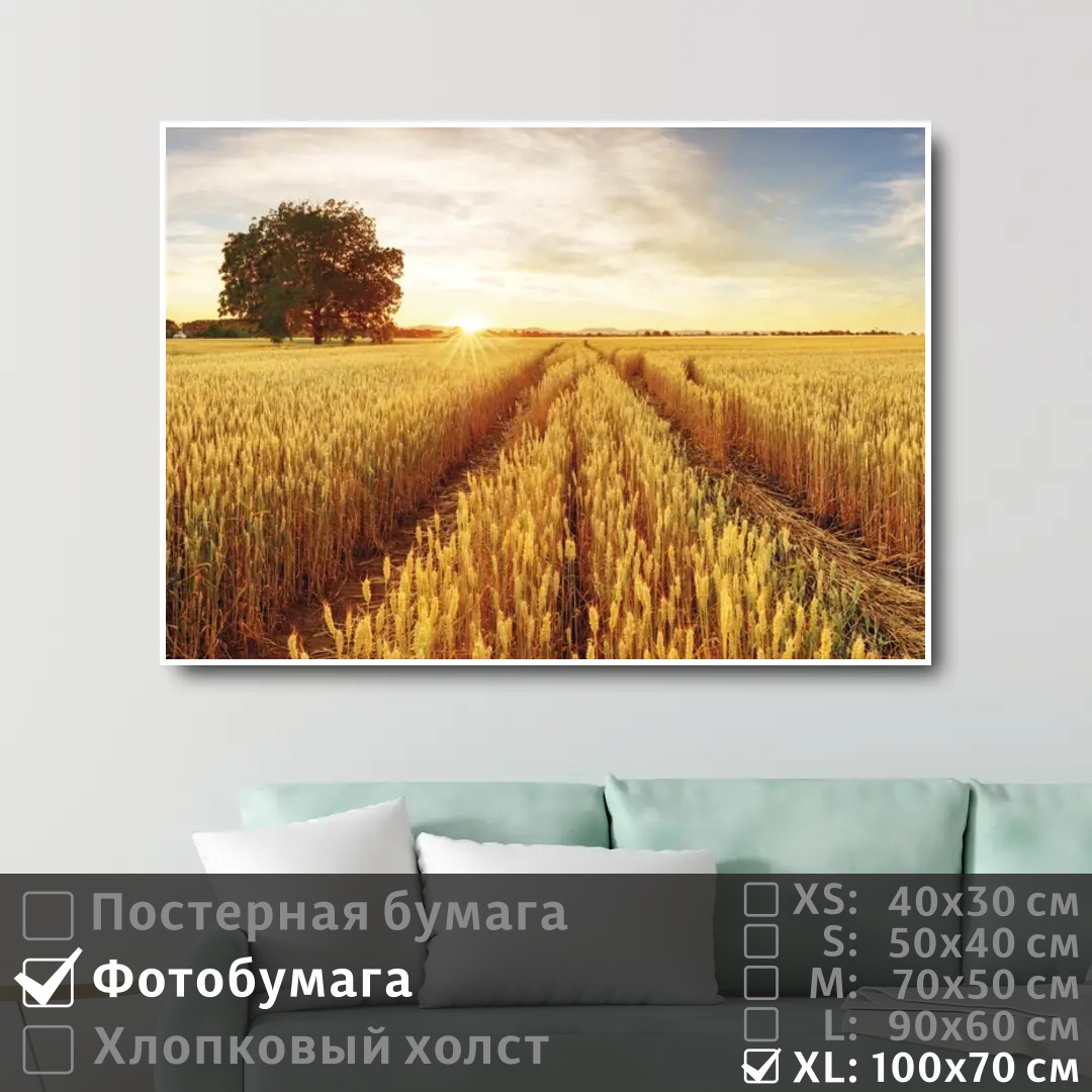 Постер на фотобумаге ПолиЦентр Восход солнца над пшеничным полем 100х70 см, ВосходСолнцаНадПшеничнымПолем1
Постер на фотобумаге ПолиЦентр Восход солнца над пшеничным полем 100х70 см, ВосходСолнцаНадПшеничнымПолем1