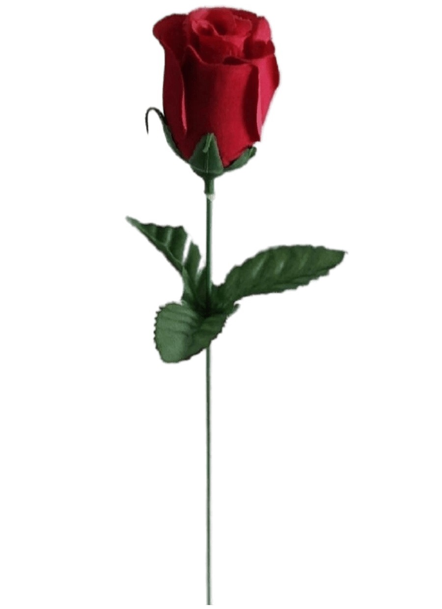 Роза одиночная бутон бархатная 38 см красная, Красный, СР_MEN-РОЗ.ОД.БУТ
Роза одиночная бутон бархатная 38 см красная, Красный, СР_MEN-РОЗ.ОД.БУТ