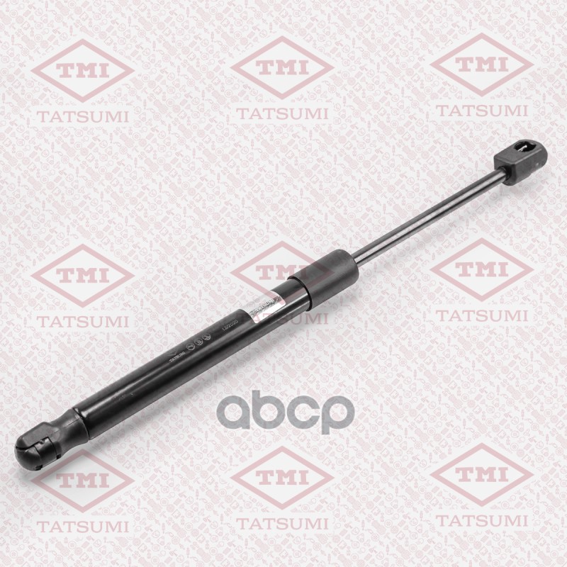 Амортизатор капота Tatsumi taf1034, Амортизатор капота Tatsumi taf1034 Tatsumi taf1034
Амортизатор капота Tatsumi taf1034, Амортизатор капота Tatsumi taf1034 Tatsumi taf1034