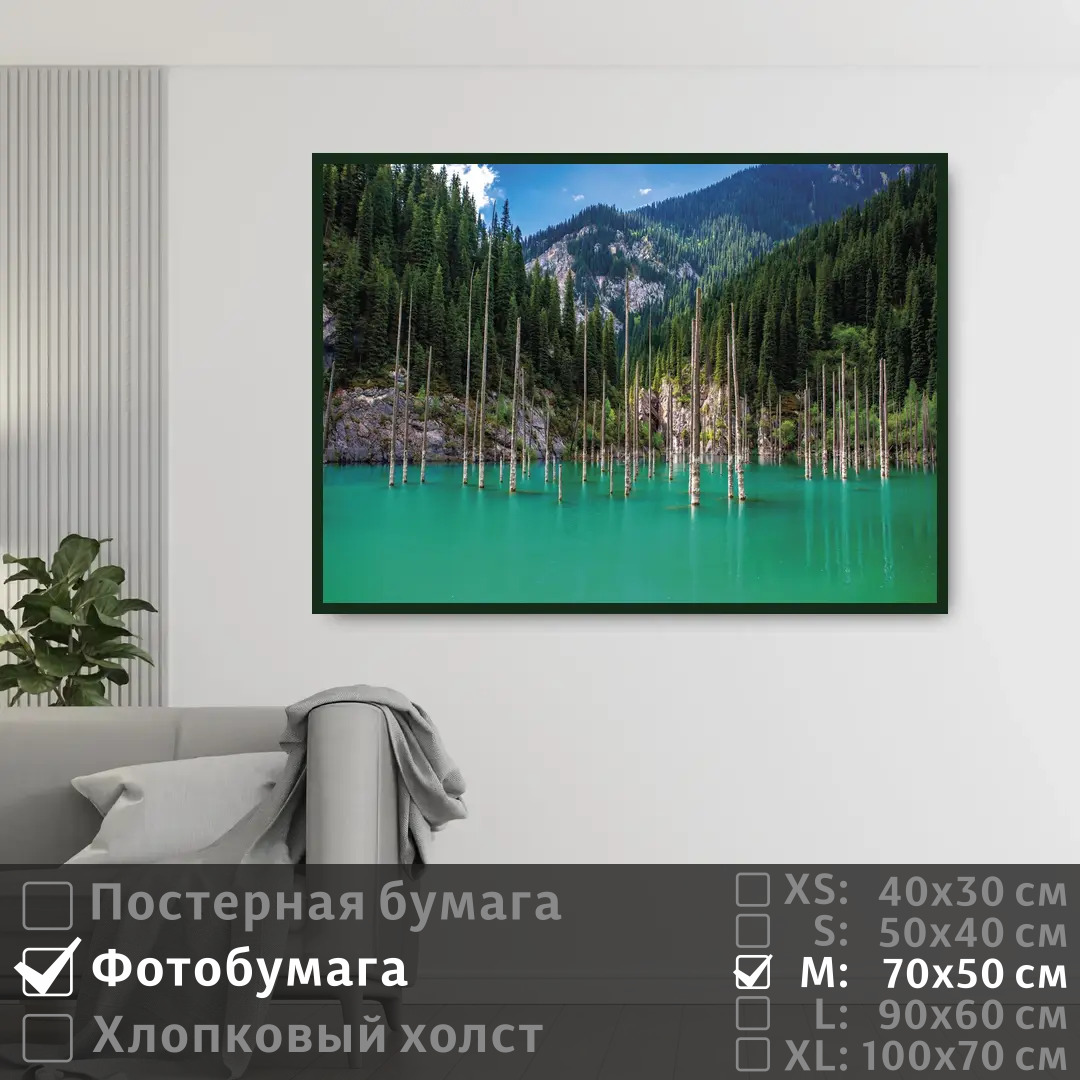 Постер на фотобумаге ПолиЦентр Бирюзовое озеро с сосновым лесом в горах 70х50 см, БирюзовоеОзероССосновымЛесомВГорах
Постер на фотобумаге ПолиЦентр Бирюзовое озеро с сосновым лесом в горах 70х50 см, БирюзовоеОзероССосновымЛесомВГорах