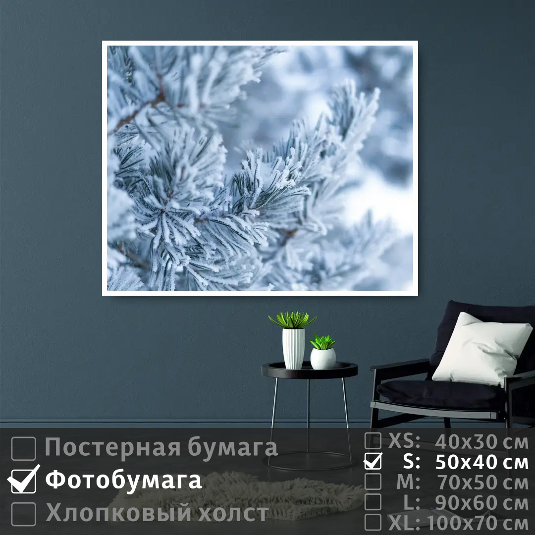 Постер на фотобумаге ПолиЦентр Ветка сосны в зимнем лесу 50х40 см, ВеткаСосныВЗимнемЛесу
Постер на фотобумаге ПолиЦентр Ветка сосны в зимнем лесу 50х40 см, ВеткаСосныВЗимнемЛесу