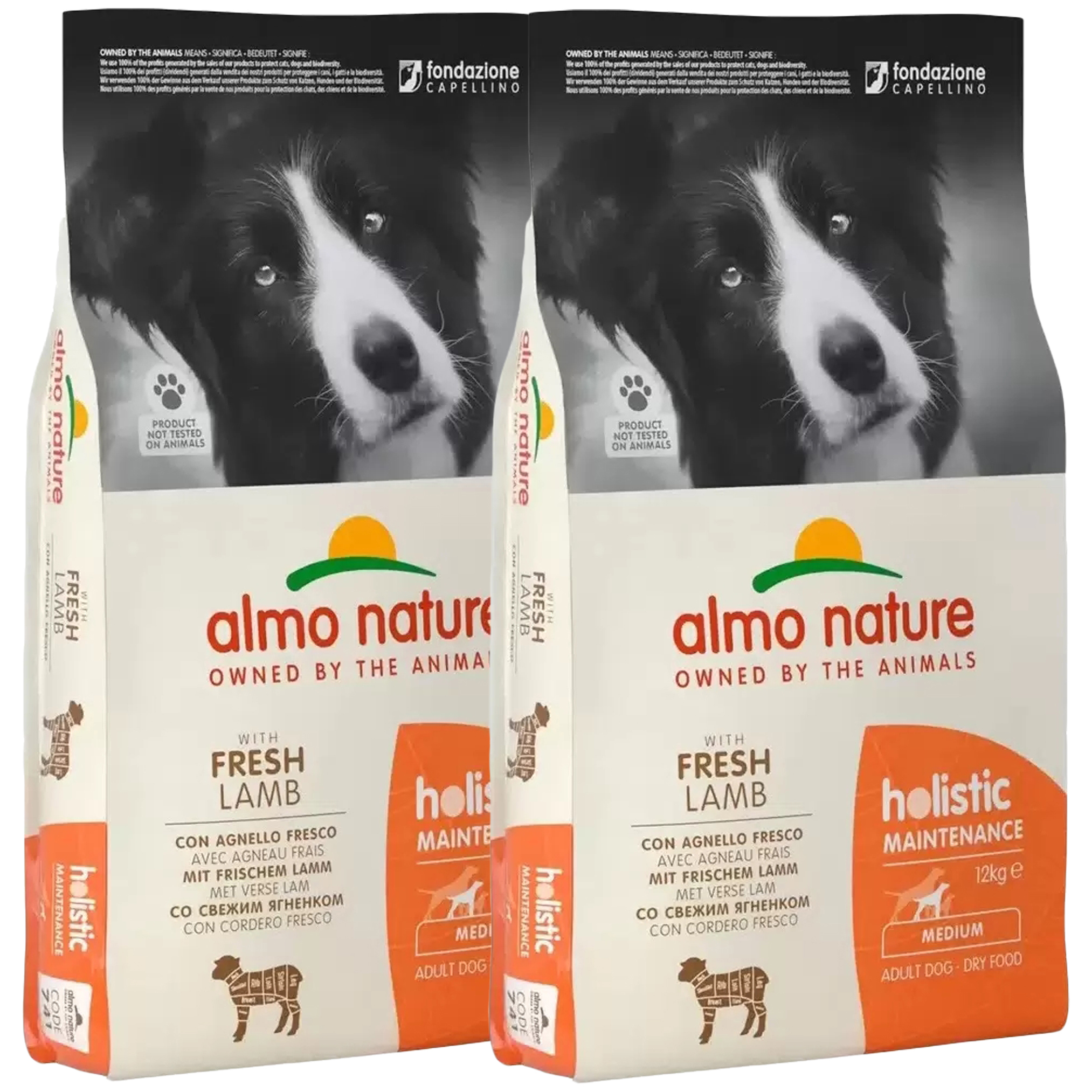 Сухой корм для собак Almo Nature Adult Dog Medium & Lamb, для средних пород, 2 шт по 12 кг
Сухой корм для собак Almo Nature Adult Dog Medium & Lamb, для средних пород, 2 шт по 12 кг