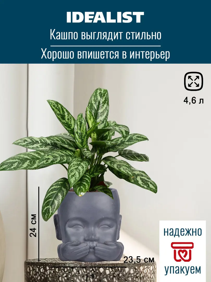 Цветочное кашпо Idealist Lite Голова малыша-монаха KID-FP-THREE-LG-24 4,7 л серый 1 шт., Голова малыша-монаха
Цветочное кашпо Idealist Lite Голова малыша-монаха KID-FP-THREE-LG-24 4,7 л серый 1 шт., Голова малыша-монаха