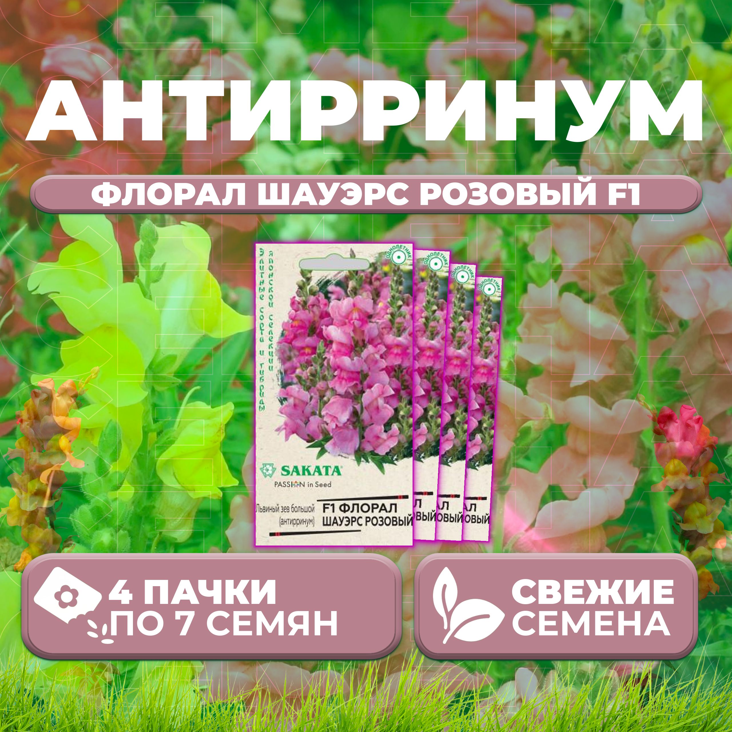 Семена Антирринум (Львиный зев) Флорал Шауэрс розовый F1, 7шт, Гавриш, Sakata (4 уп)
Семена Антирринум (Львиный зев) Флорал Шауэрс розовый F1, 7шт, Гавриш, Sakata (4 уп)