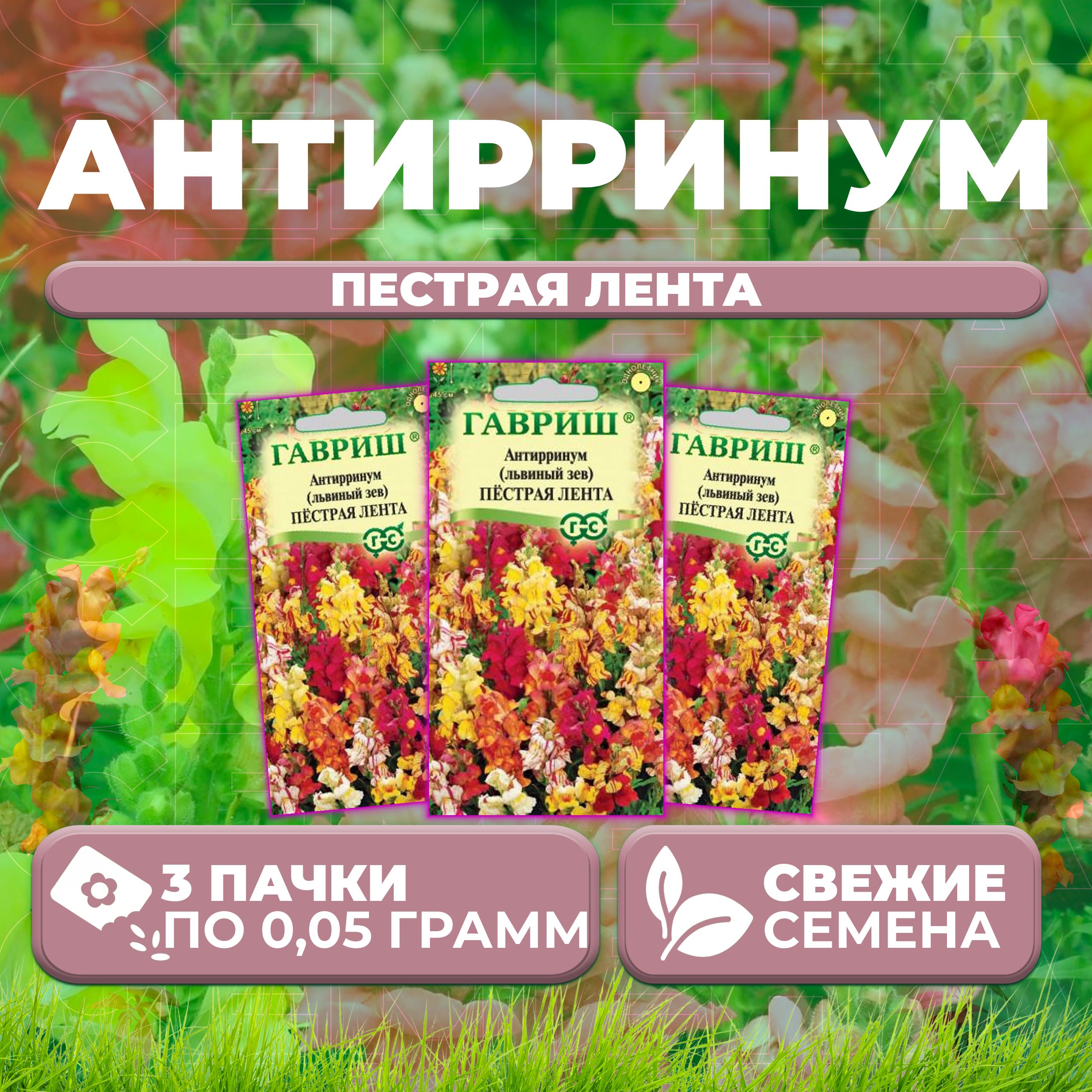 Семена Антирринум (Львиный зев) Пестрая лента, 0,05г, Гавриш, Цветочная коллекция (3 уп)
Семена Антирринум (Львиный зев) Пестрая лента, 0,05г, Гавриш, Цветочная коллекция (3 уп)