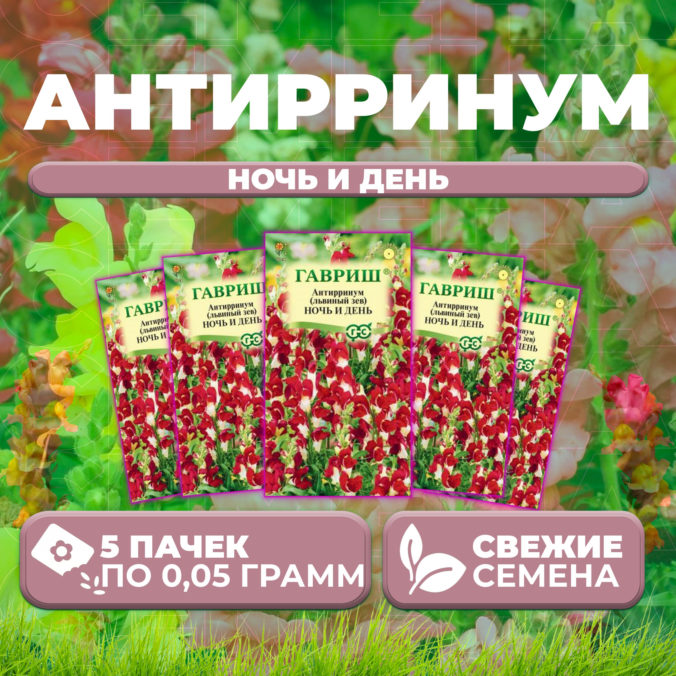 Семена Антирринум (Львиный зев) Ночь и день, 0,05г, Гавриш, Цветочная коллекция (5 уп)
Семена Антирринум (Львиный зев) Ночь и день, 0,05г, Гавриш, Цветочная коллекция (5 уп)