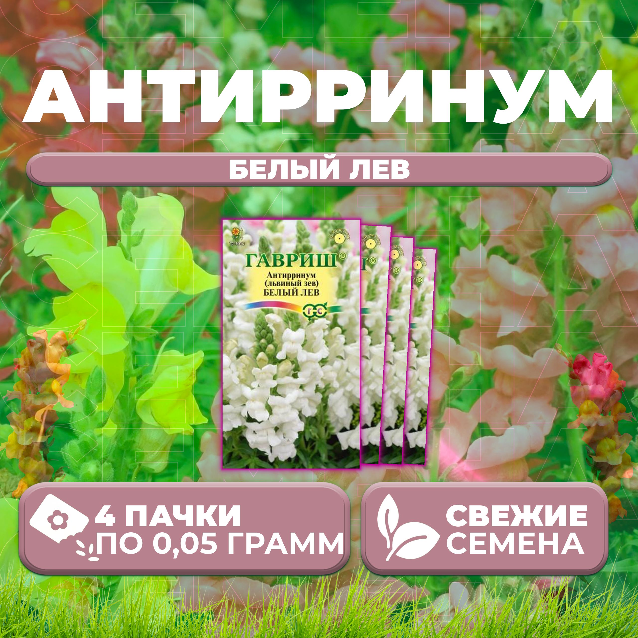 Семена Антирринум (Львиный зев) Белый лев, 0,05г, Гавриш, Цветочная коллекция (4 уп)
Семена Антирринум (Львиный зев) Белый лев, 0,05г, Гавриш, Цветочная коллекция (4 уп)