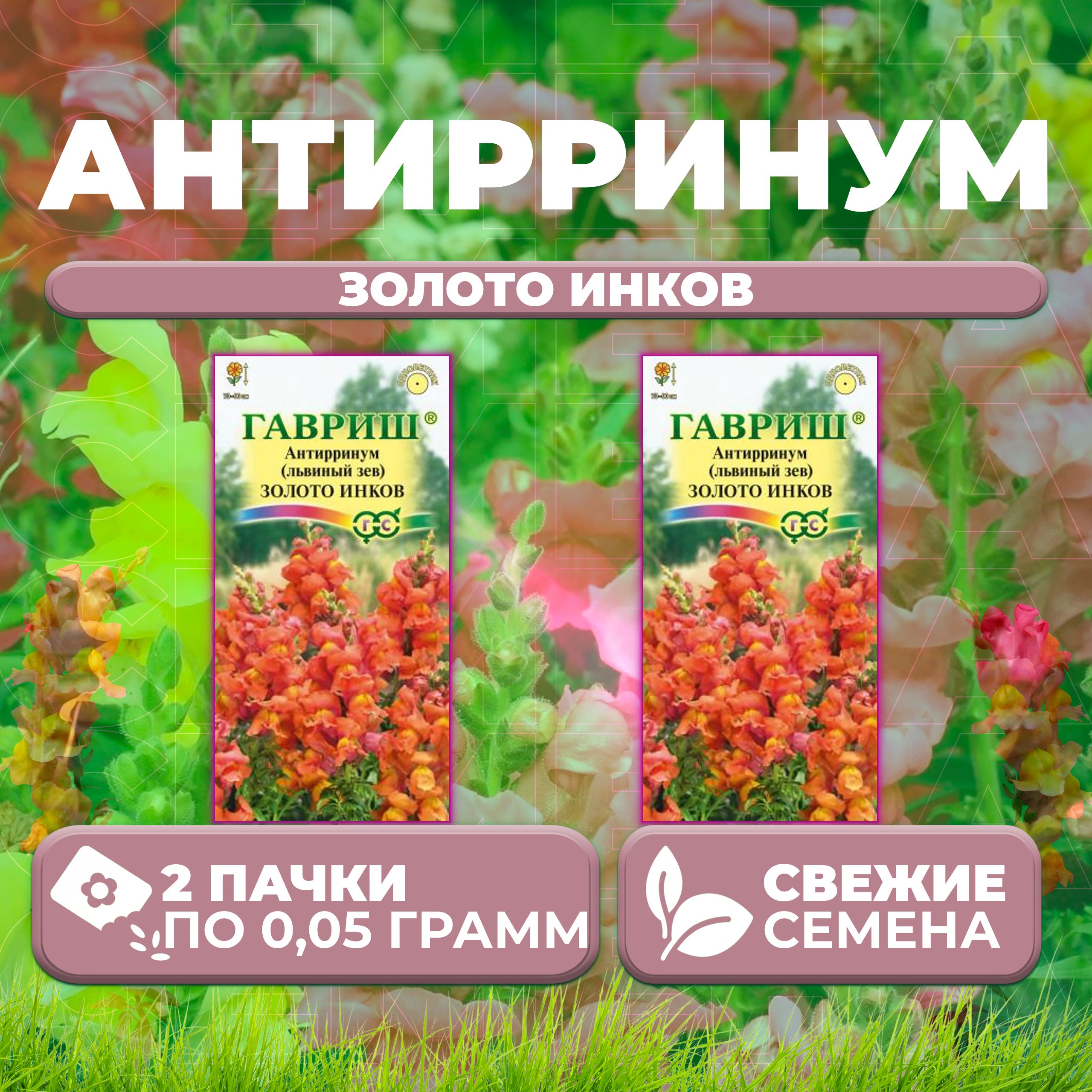 Семена Антирринум (Львиный зев) Золото инков, 0,05г, Гавриш, Цветочная коллекция (2 уп)
Семена Антирринум (Львиный зев) Золото инков, 0,05г, Гавриш, Цветочная коллекция (2 уп)