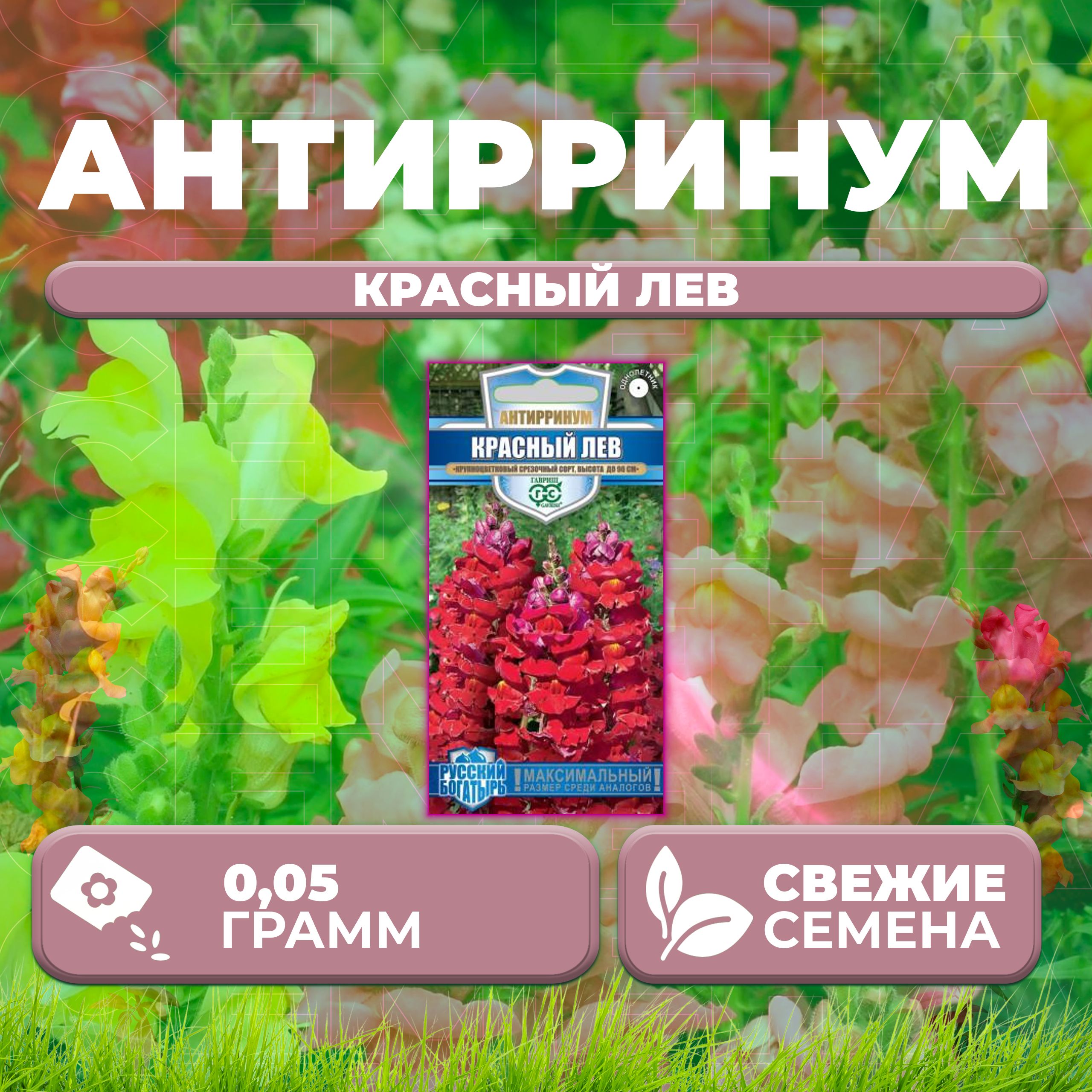 Семена Антирринум (Львиный зев) Красный лев, 0,05г, Гавриш, Русский богатырь (1 уп)
Семена Антирринум (Львиный зев) Красный лев, 0,05г, Гавриш, Русский богатырь (1 уп)