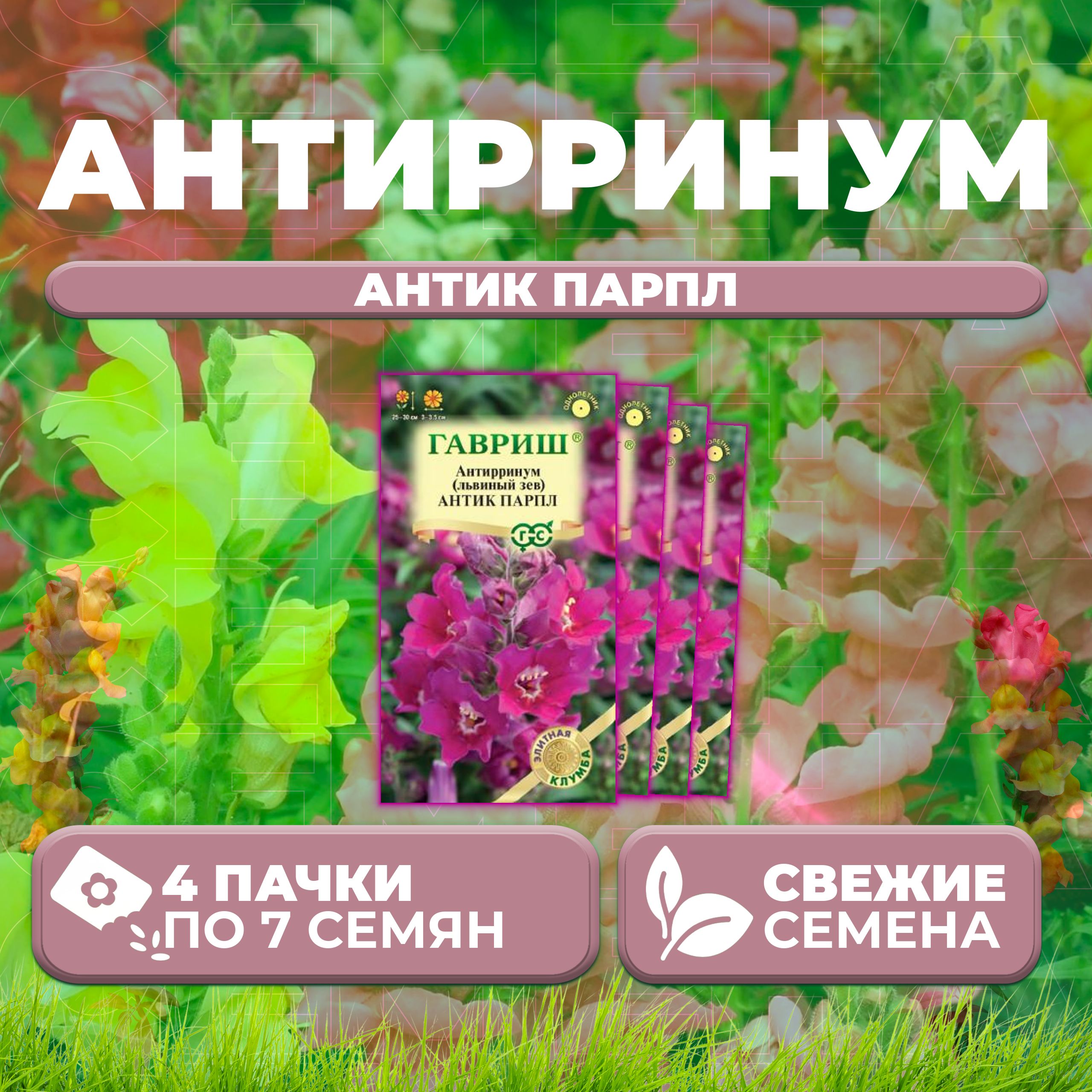 Семена Антирринум (Львиный зев) Антик Парпл, 7шт, Гавриш, Элитная клумба (4 уп)
Семена Антирринум (Львиный зев) Антик Парпл, 7шт, Гавриш, Элитная клумба (4 уп)
