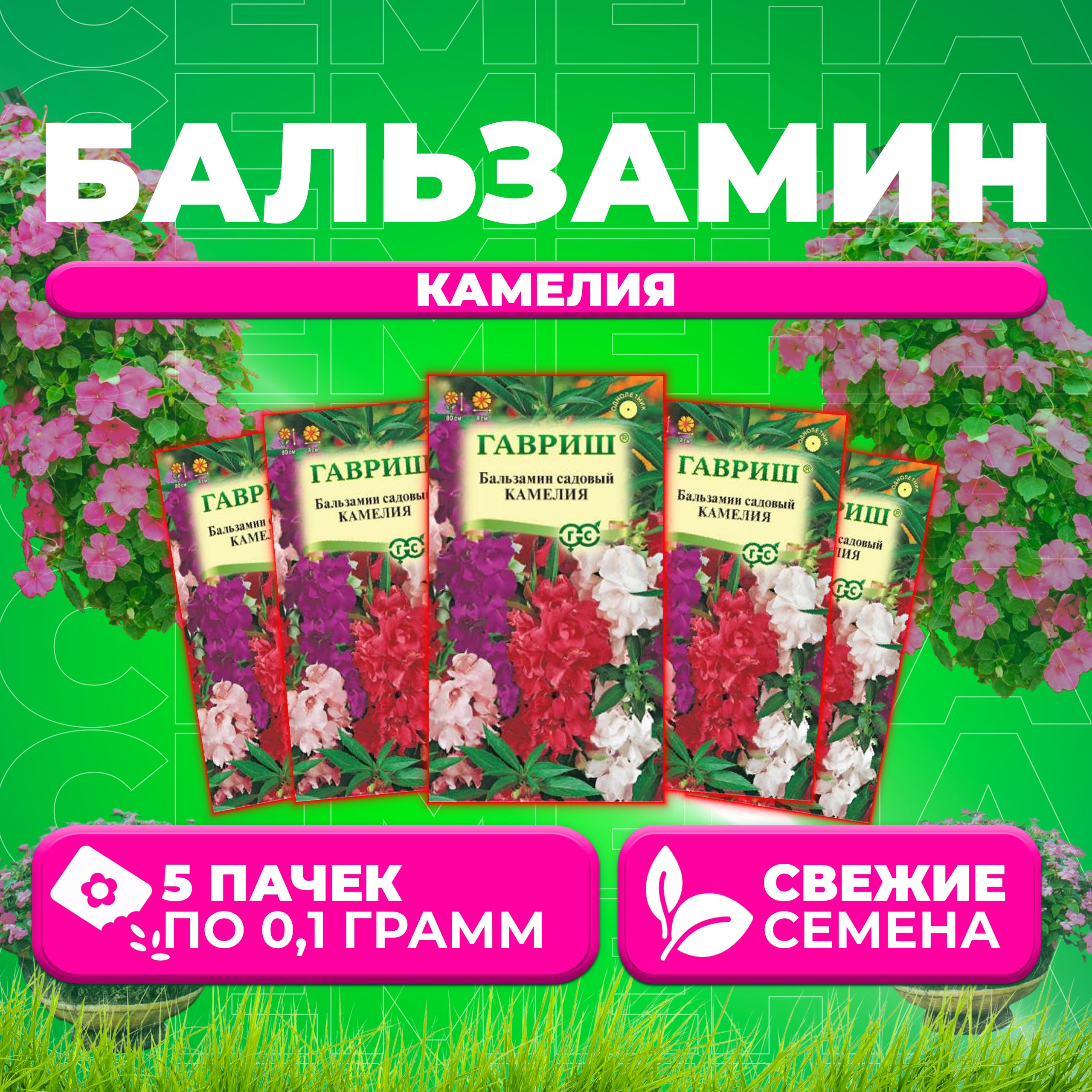 Семена Бальзамин садовый Камелия, смесь, 0,1г, Гавриш, Цветочная коллекция (5 уп)
Семена Бальзамин садовый Камелия, смесь, 0,1г, Гавриш, Цветочная коллекция (5 уп)