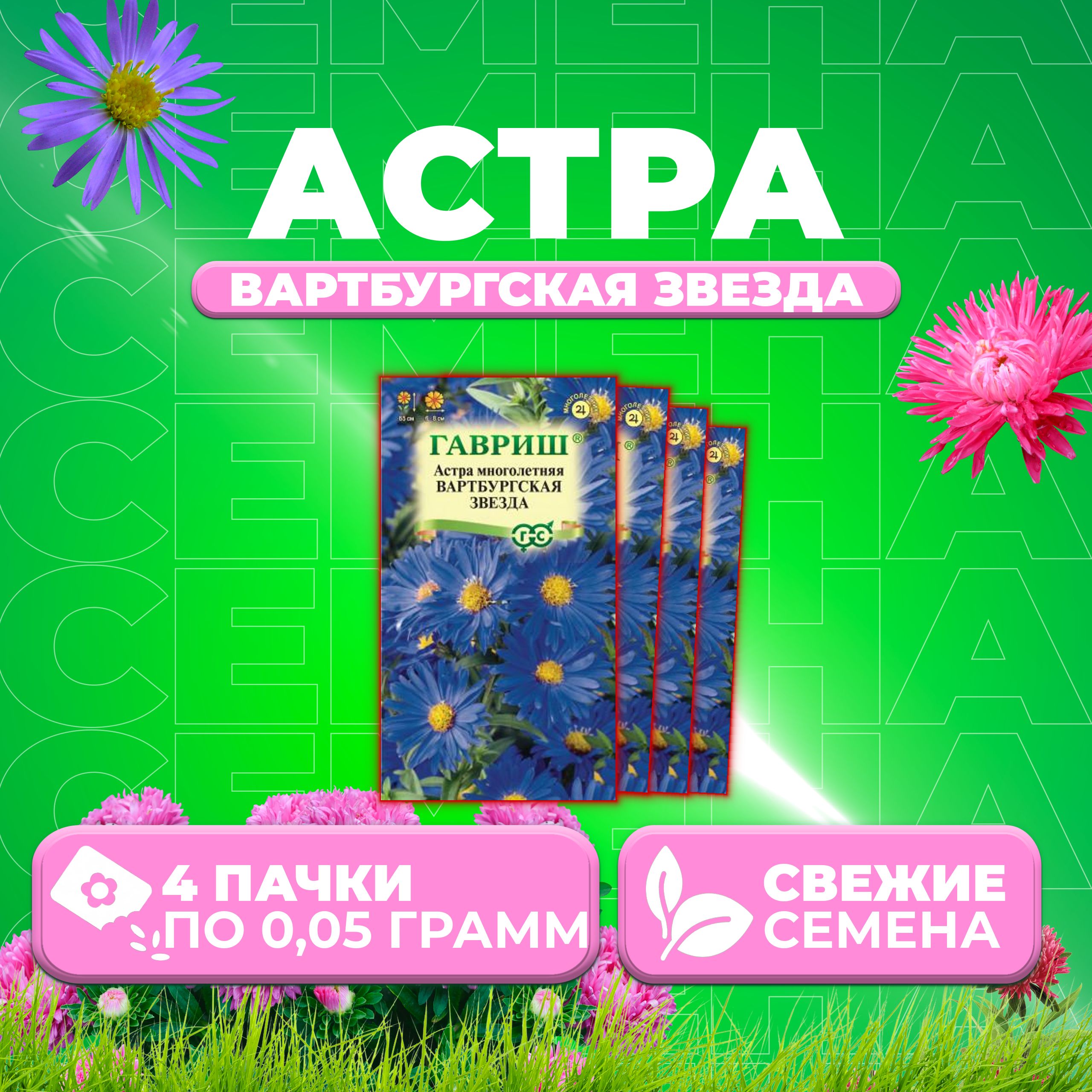 Семена Астра многолетняя Вартбургская звезда, 0,05г, Гавриш, Цветочная коллекция (4 уп)
Семена Астра многолетняя Вартбургская звезда, 0,05г, Гавриш, Цветочная коллекция (4 уп)