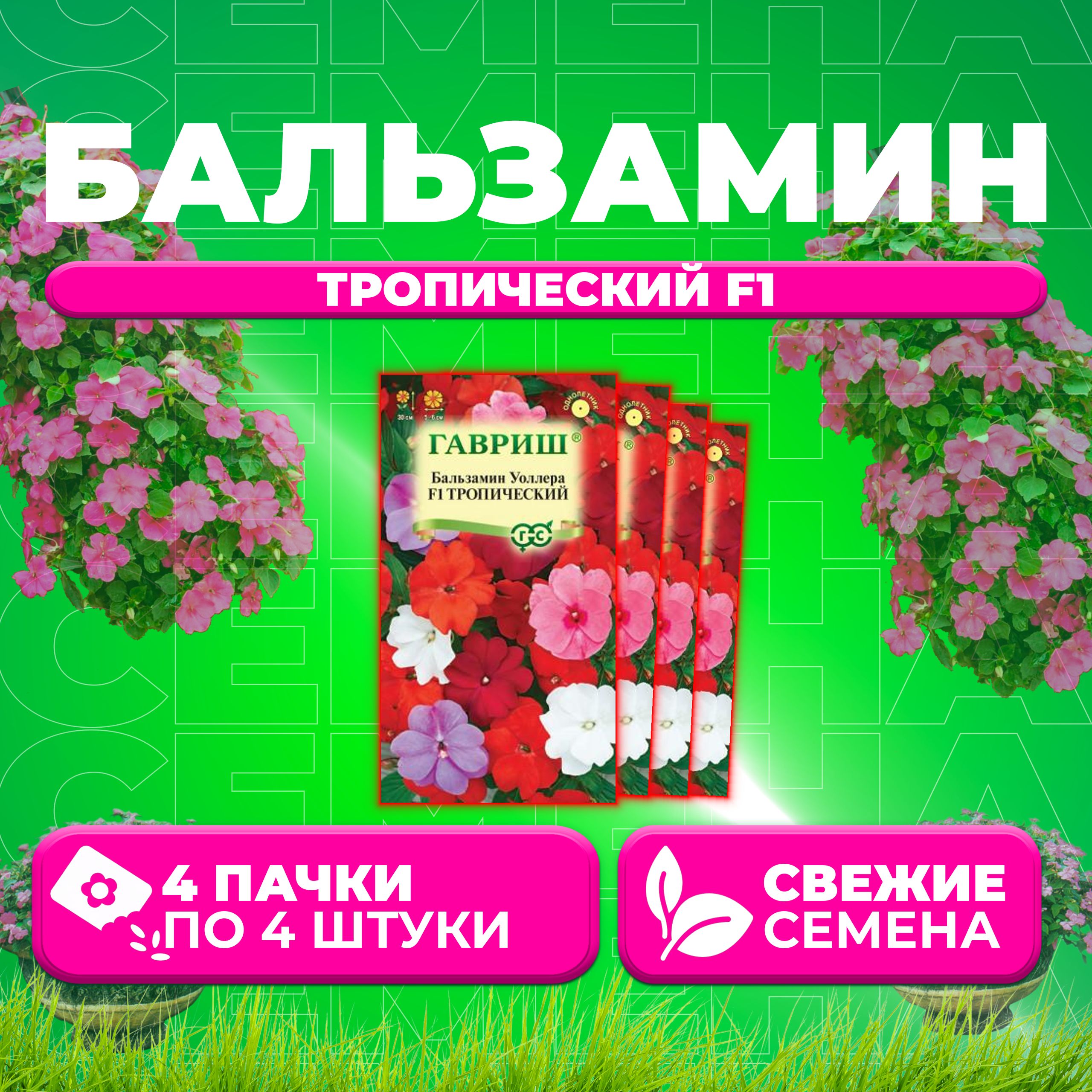 Семена Бальзамин Уоллера Тропический F1, смесь, 4шт, Гавриш, Цветочная коллекция (4 уп)
Семена Бальзамин Уоллера Тропический F1, смесь, 4шт, Гавриш, Цветочная коллекция (4 уп)