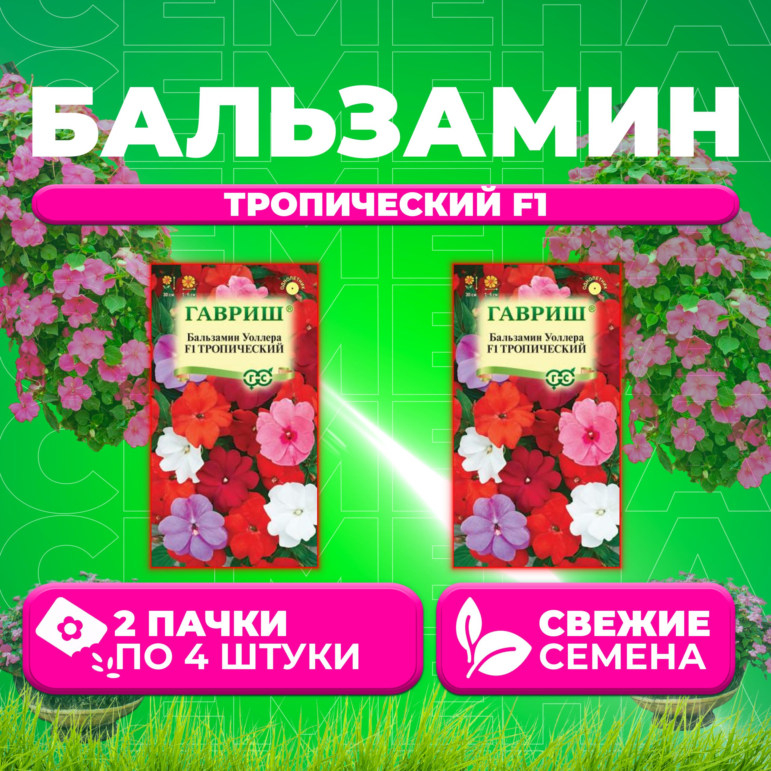 Семена Бальзамин Уоллера Тропический F1, смесь, 4шт, Гавриш, Цветочная коллекция (2 уп)
Семена Бальзамин Уоллера Тропический F1, смесь, 4шт, Гавриш, Цветочная коллекция (2 уп)