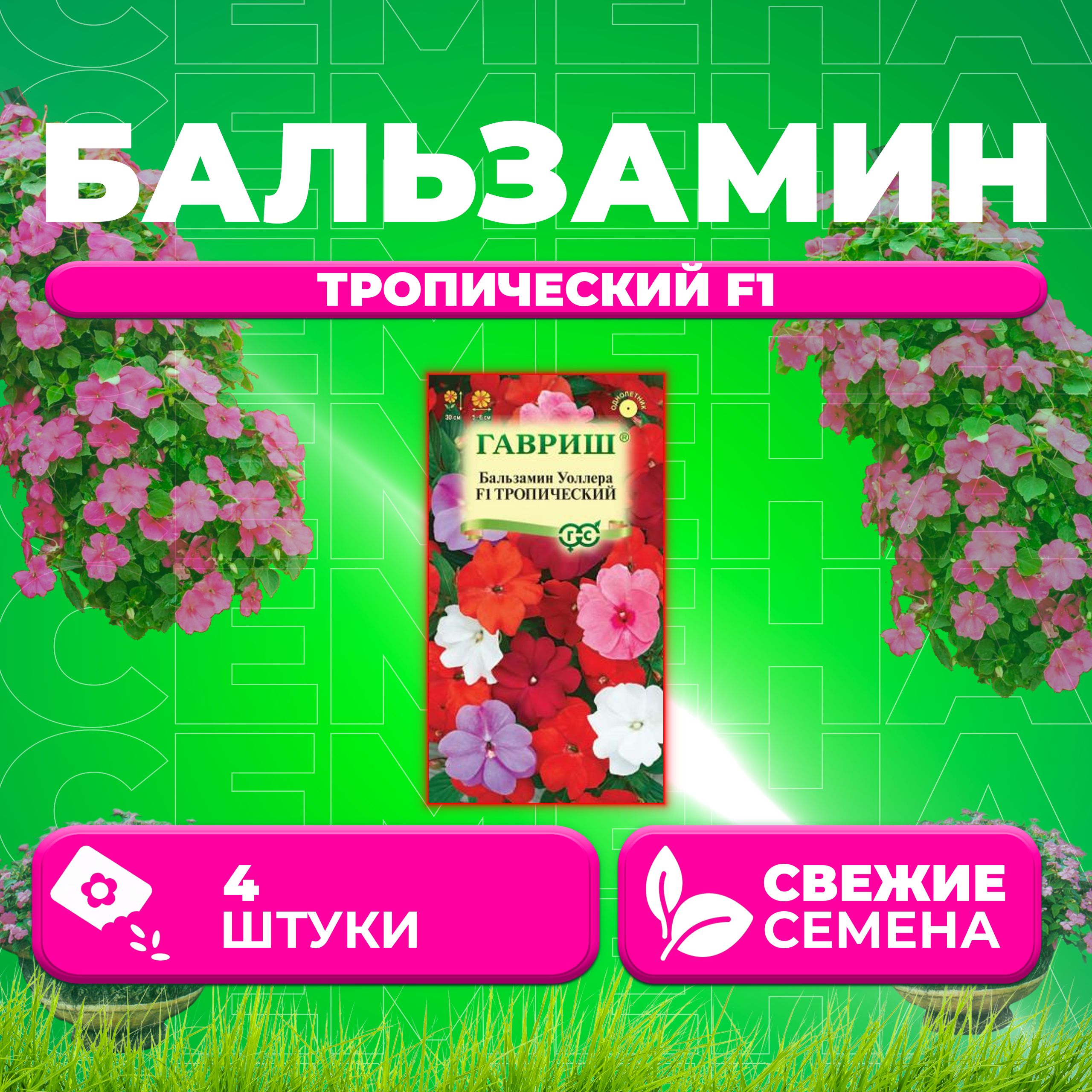 Семена Бальзамин Уоллера Тропический F1, смесь, 4шт, Гавриш, Цветочная коллекция (1 уп)
Семена Бальзамин Уоллера Тропический F1, смесь, 4шт, Гавриш, Цветочная коллекция (1 уп)