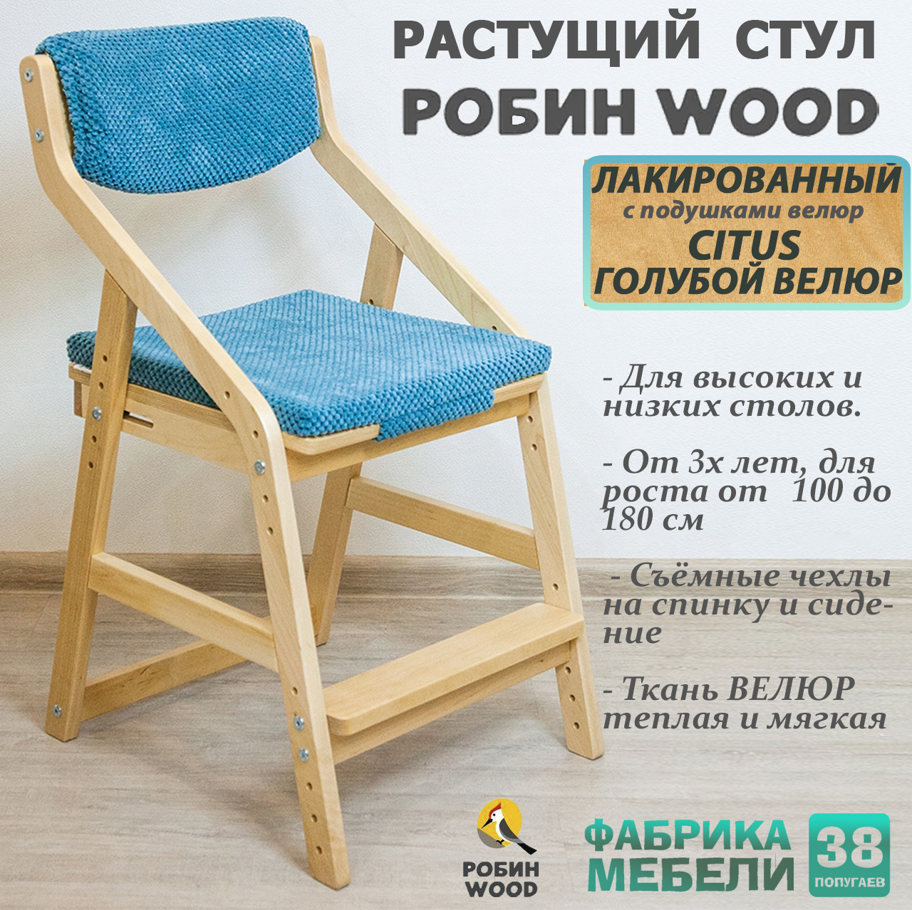 Растущий стул детский Робин WOOD 38 попугаев лакированный с подушками CITUS Голубой, WOOD
Растущий стул детский Робин WOOD 38 попугаев лакированный с подушками CITUS Голубой, WOOD