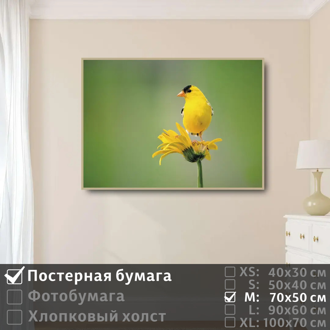 Постер на стену ПолиЦентр Птичка желтая сидит на цветке 70х50 см, ПтичкаЖелтаяСидитНаЦветке
Постер на стену ПолиЦентр Птичка желтая сидит на цветке 70х50 см, ПтичкаЖелтаяСидитНаЦветке