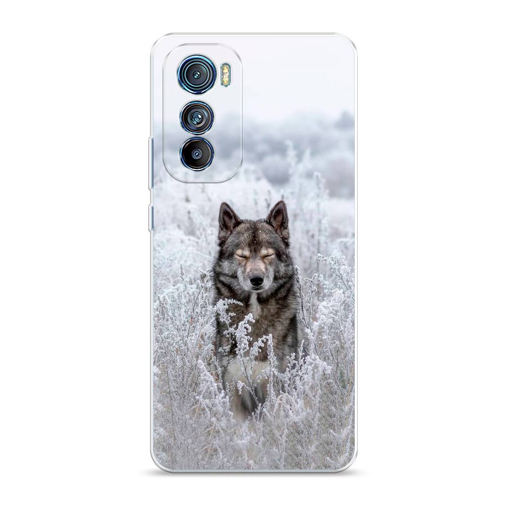 фото Силиконовый чехол "волк в поле" на motorola edge 30 awog