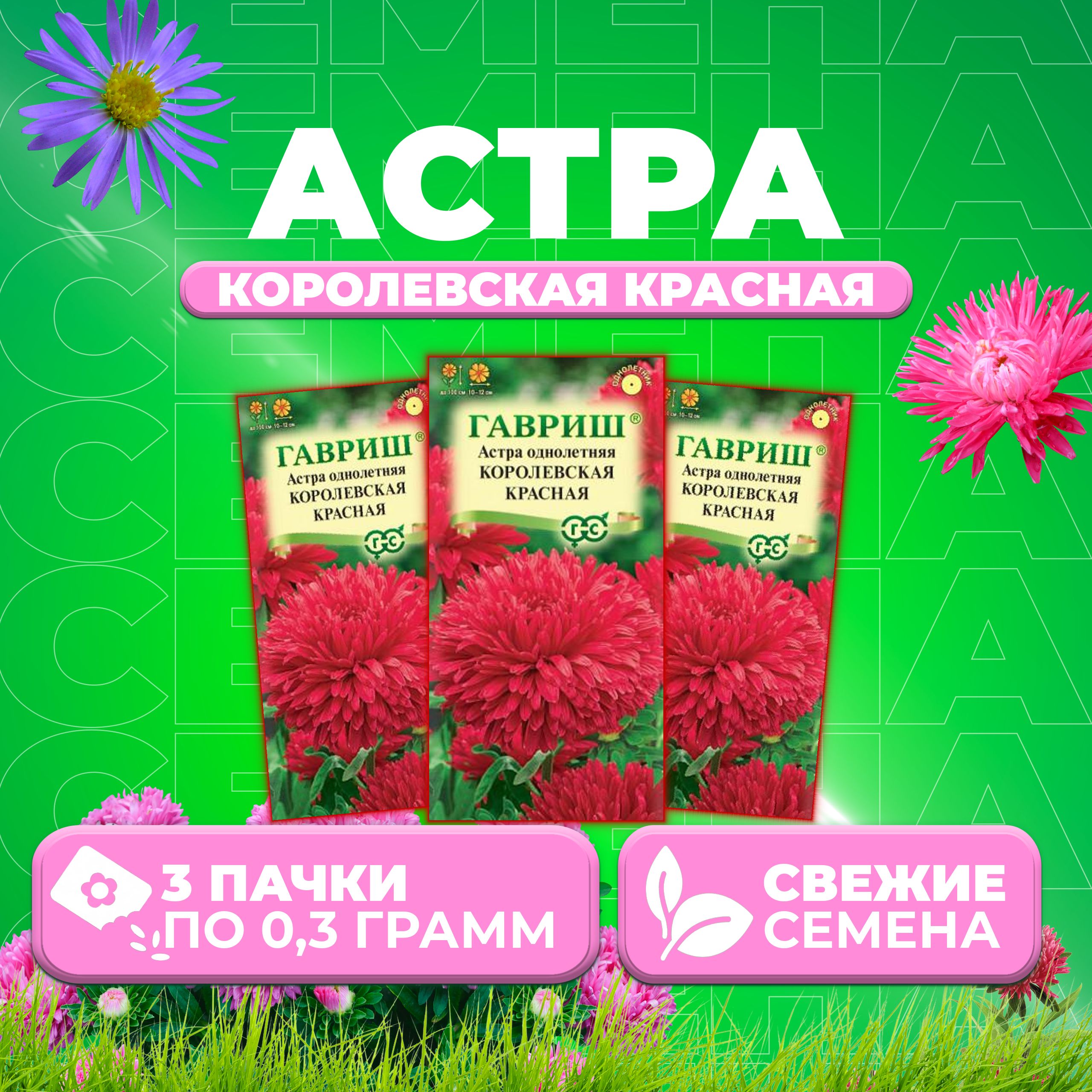Семена Астра Королевская красная, пионовидная, 0,3г, Гавриш, Цветочная коллекция (3 уп)
Семена Астра Королевская красная, пионовидная, 0,3г, Гавриш, Цветочная коллекция (3 уп)