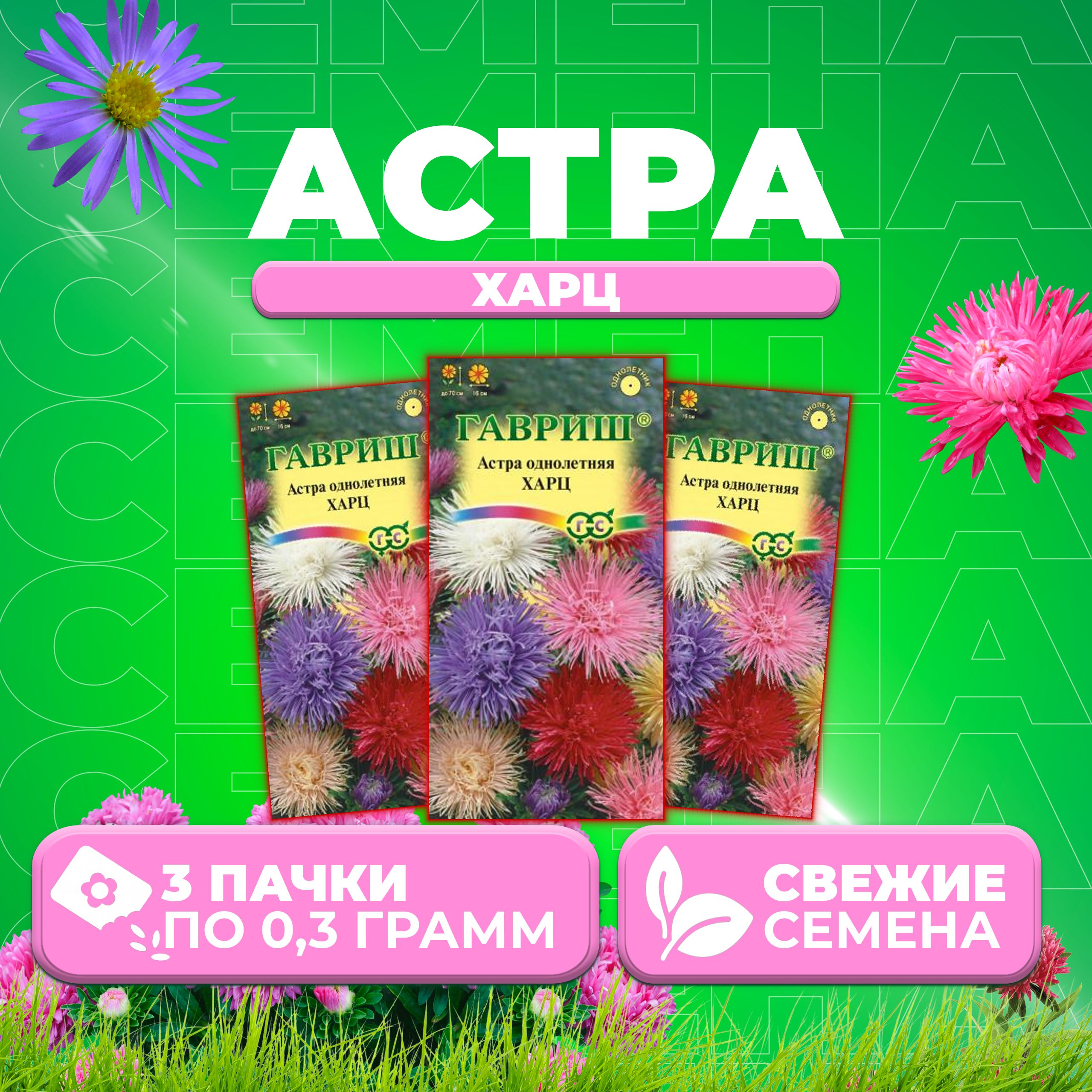 Семена Астра Харц, тонкоигольчатая, смесь, 0,3г, Гавриш, Цветочная коллекция (3 уп)
Семена Астра Харц, тонкоигольчатая, смесь, 0,3г, Гавриш, Цветочная коллекция (3 уп)