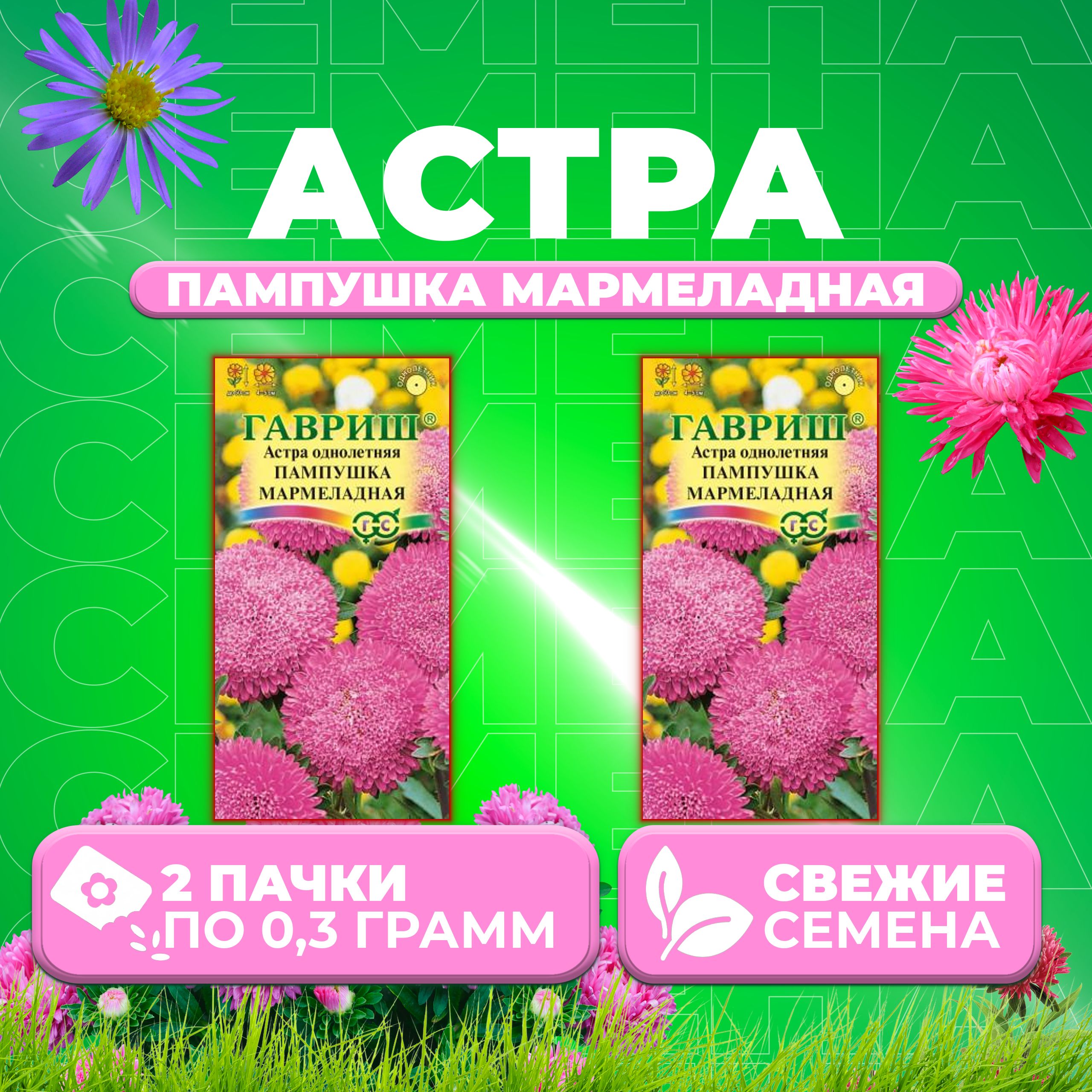 Семена Астра Пампушка мармеладная, помпонная, 0,3г, Гавриш, Цветочная коллекция (2 уп)
Семена Астра Пампушка мармеладная, помпонная, 0,3г, Гавриш, Цветочная коллекция (2 уп)