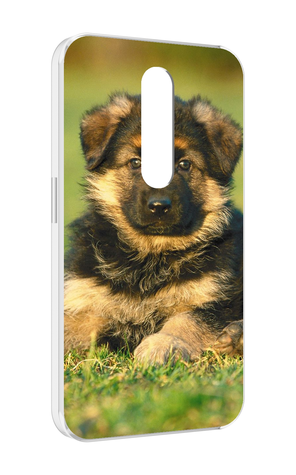 Чехол MyPads кавказская овчарка для Motorola Moto X Force (XT1585 / XT1581), Прозрачный, Tocco
Чехол MyPads кавказская овчарка для Motorola Moto X Force (XT1585 / XT1581), Прозрачный, Tocco