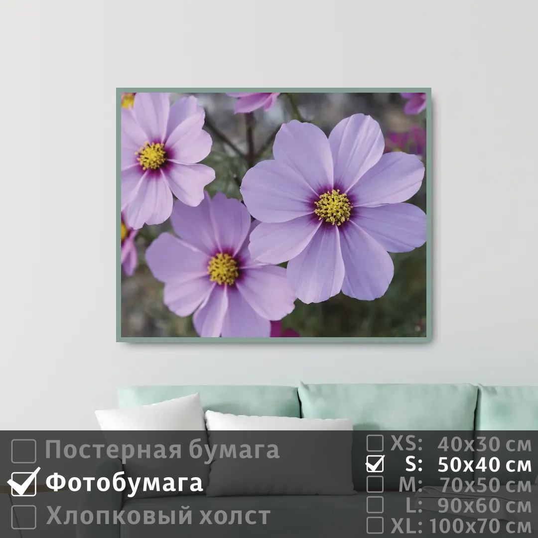 Постер на фотобумаге ПолиЦентр Летние сиреневые цветы 50х40 см, ЛетниеСиреневыеЦветы 
Постер на фотобумаге ПолиЦентр Летние сиреневые цветы 50х40 см, ЛетниеСиреневыеЦветы