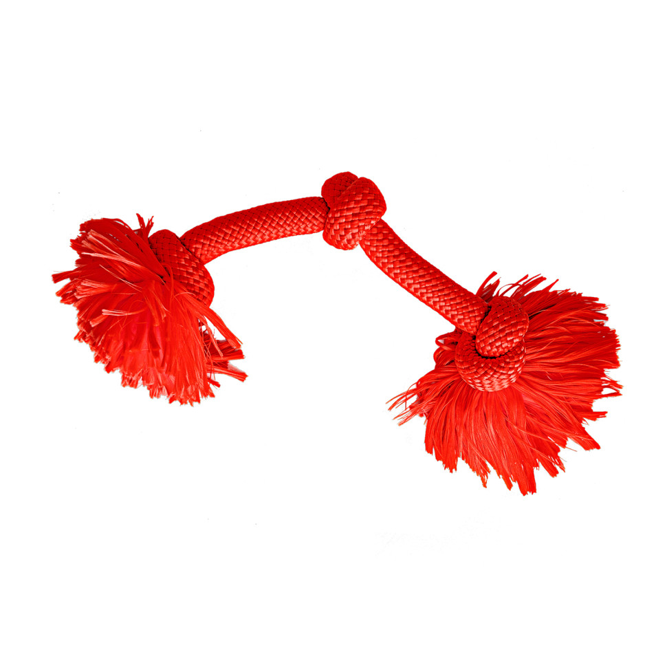 Игрушка для собак Playology Dri-Tech Rope жевательный канат, говядина, красный, большой, нет
Игрушка для собак Playology Dri-Tech Rope жевательный канат, говядина, красный, большой, нет