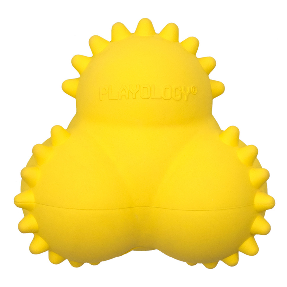 Игрушка для щенков Playology Squeaky Bounce Ball хрустящий жевательный мяч, курица, желтый, нет
Игрушка для щенков Playology Squeaky Bounce Ball хрустящий жевательный мяч, курица, желтый, нет