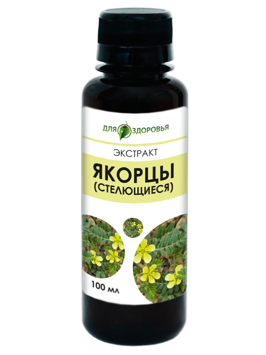 Якорцы экстракт Для ЗДОРОВЬЯ 100 мл
Якорцы экстракт Для ЗДОРОВЬЯ 100 мл