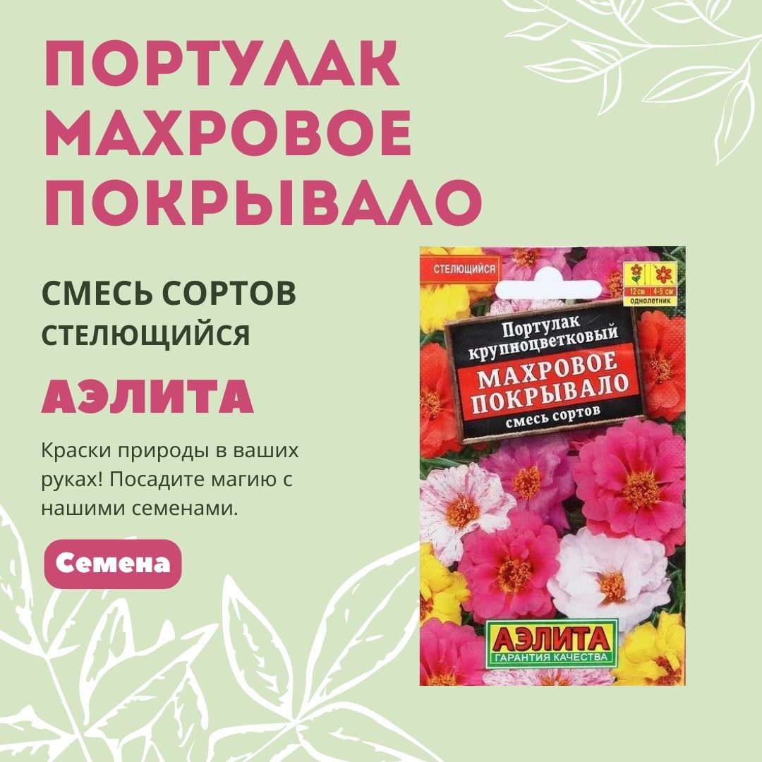 Семена Портулак "Махровое покрывало", смесь (0,1г) Аэлита, Бархатцы_1_бордовый_желтый_Махровое покрывало
Семена Портулак "Махровое покрывало", смесь (0,1г) Аэлита, Бархатцы_1_бордовый_желтый_Махровое покрывало