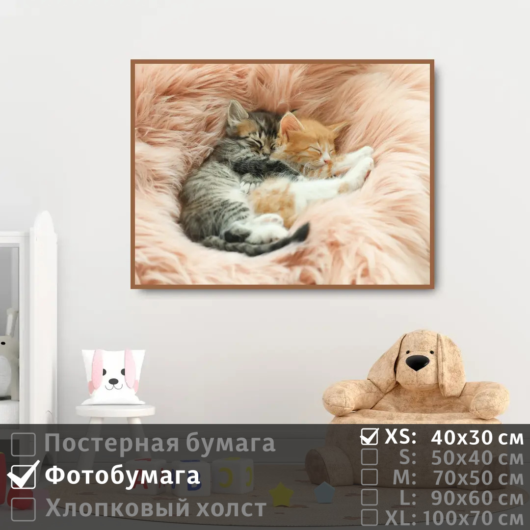 Постер на фотобумаге ПолиЦентр Дружные котята на отдыхе 40х30 см, ДружныеКотятаНаОтдыхе
Постер на фотобумаге ПолиЦентр Дружные котята на отдыхе 40х30 см, ДружныеКотятаНаОтдыхе