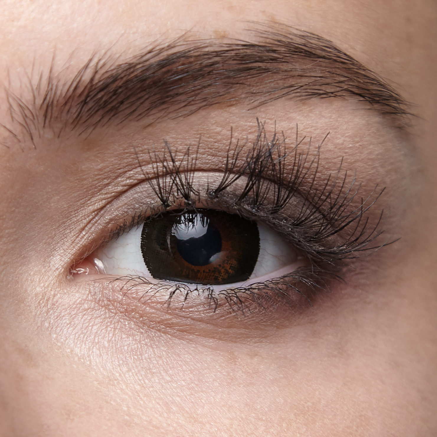 фото Контактные линзы illusion fashion adonis 2 линзы -3.5d superblack черный