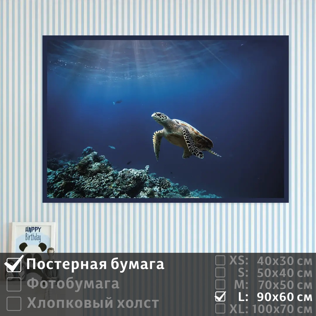 Постер на стену ПолиЦентр Черепаха на глубине в океане 90х60 см, ЧерепахаНаГлубинеВОкеане
Постер на стену ПолиЦентр Черепаха на глубине в океане 90х60 см, ЧерепахаНаГлубинеВОкеане