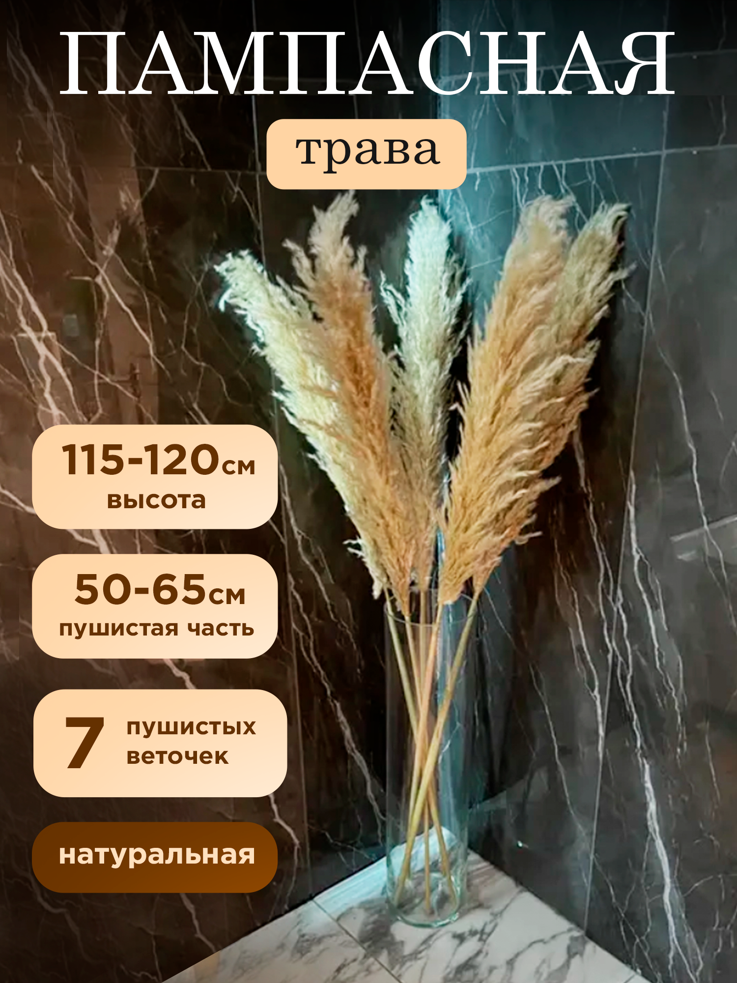 Пампасная трава Sales House Кортадерия сухоцвет высокая 115 см 7 штук, Бежевый, Сухоцвет
Пампасная трава Sales House Кортадерия сухоцвет высокая 115 см 7 штук, Бежевый, Сухоцвет