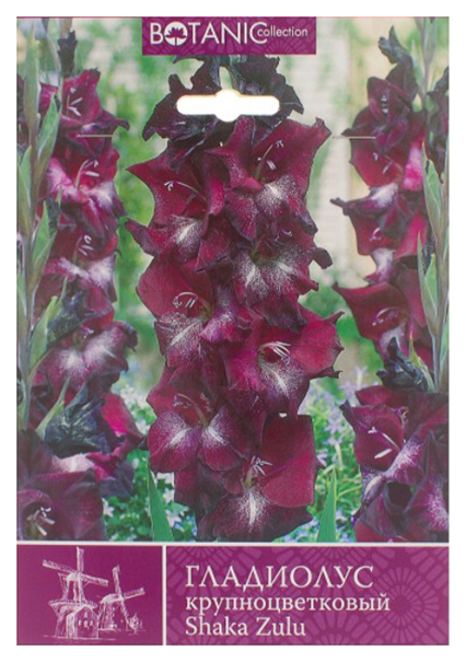 Семена 7 Цветов Botanic Collection Гладиолус крупноцветковый Шака Зулу 10-12 см 8 шт 138 г
Семена 7 Цветов Botanic Collection Гладиолус крупноцветковый Шака Зулу 10-12 см 8 шт 138 г