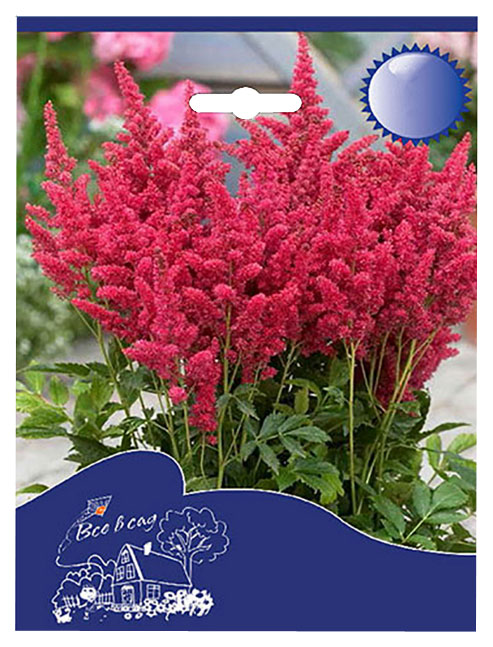 Семена 7 Цветов Астильба Спирея красная I 1 шт 10 г
Семена 7 Цветов Астильба Спирея красная I 1 шт 10 г