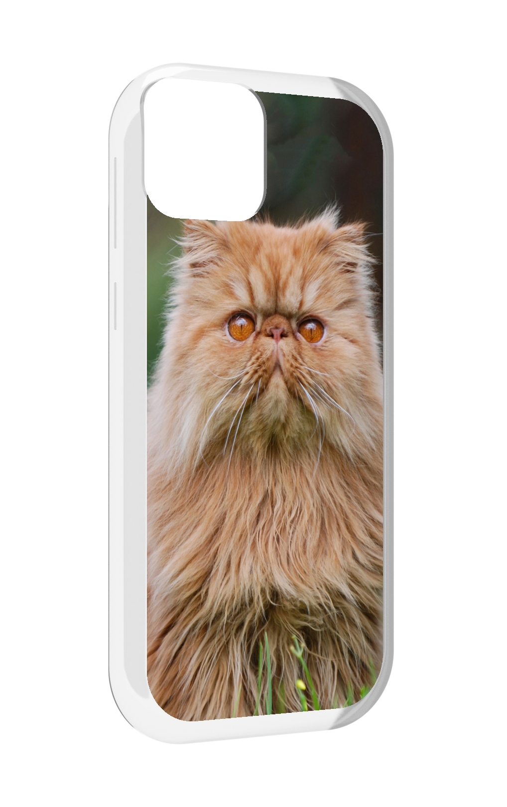 Чехол MyPads кошка персидская для UleFone Note 6 / Note 6T / Note 6P, Прозрачный, Tocco
Чехол MyPads кошка персидская для UleFone Note 6 / Note 6T / Note 6P, Прозрачный, Tocco