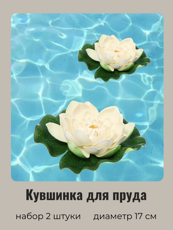 Набор растений водоплавающих Добросад Кувшинка Розитта 736-076/1 белая 2 шт d-17см, Белый, Кувшинка Розитта
Набор растений водоплавающих Добросад Кувшинка Розитта 736-076/1 белая 2 шт d-17см, Белый, Кувшинка Розитта