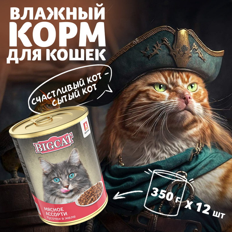 Влажный корм для кошек Зоогурман BIG CAT Консервированный, Мясное ассорти, 12 шт * 350 г, Мясное ассорти
Влажный корм для кошек Зоогурман BIG CAT Консервированный, Мясное ассорти, 12 шт * 350 г, Мясное ассорти