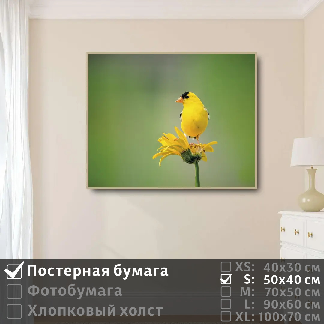 Постер на стену ПолиЦентр Птичка желтая сидит на цветке 50х40 см, ПтичкаЖелтаяСидитНаЦветке
Постер на стену ПолиЦентр Птичка желтая сидит на цветке 50х40 см, ПтичкаЖелтаяСидитНаЦветке