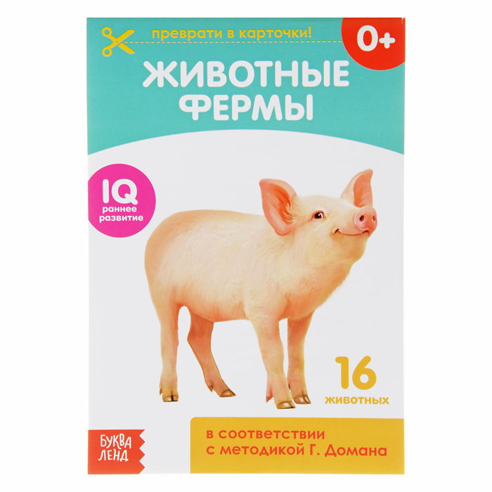Обучающая книжка по методике Г. Домана «Животные фермы», 20 стр., Книги по методике Домана Буква-Ленд
Обучающая книжка по методике Г. Домана «Животные фермы», 20 стр., Книги по методике Домана Буква-Ленд