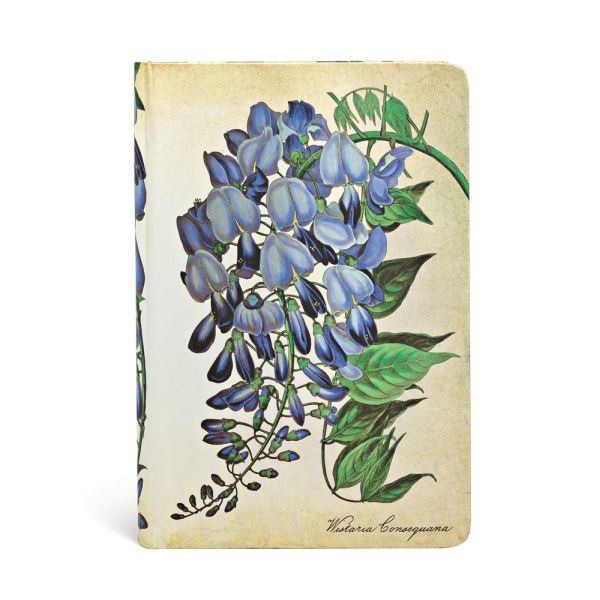 Записная книжка Paperblanks Painted Botanics Blooming Wisteria Mini лин. 95*140, 176стр, Mini
Записная книжка Paperblanks Painted Botanics Blooming Wisteria Mini лин. 95*140, 176стр, Mini