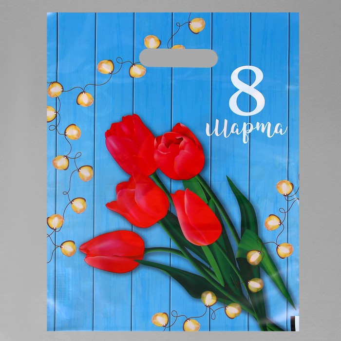 Пакет Тюльпаны 8 марта, полиэтиленовый с вырубной ручкой, 30 х 40 см, 50 мк (20 шт), Разноцветный
Пакет Тюльпаны 8 марта, полиэтиленовый с вырубной ручкой, 30 х 40 см, 50 мк (20 шт), Разноцветный