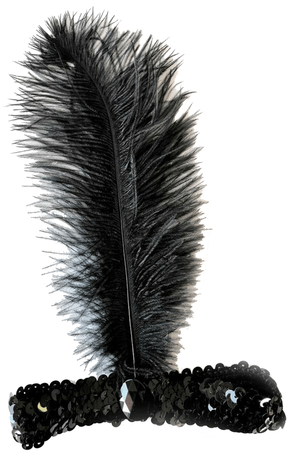 Повязка с пером карнавальная в ассортименте
Повязка с пером карнавальная в ассортименте