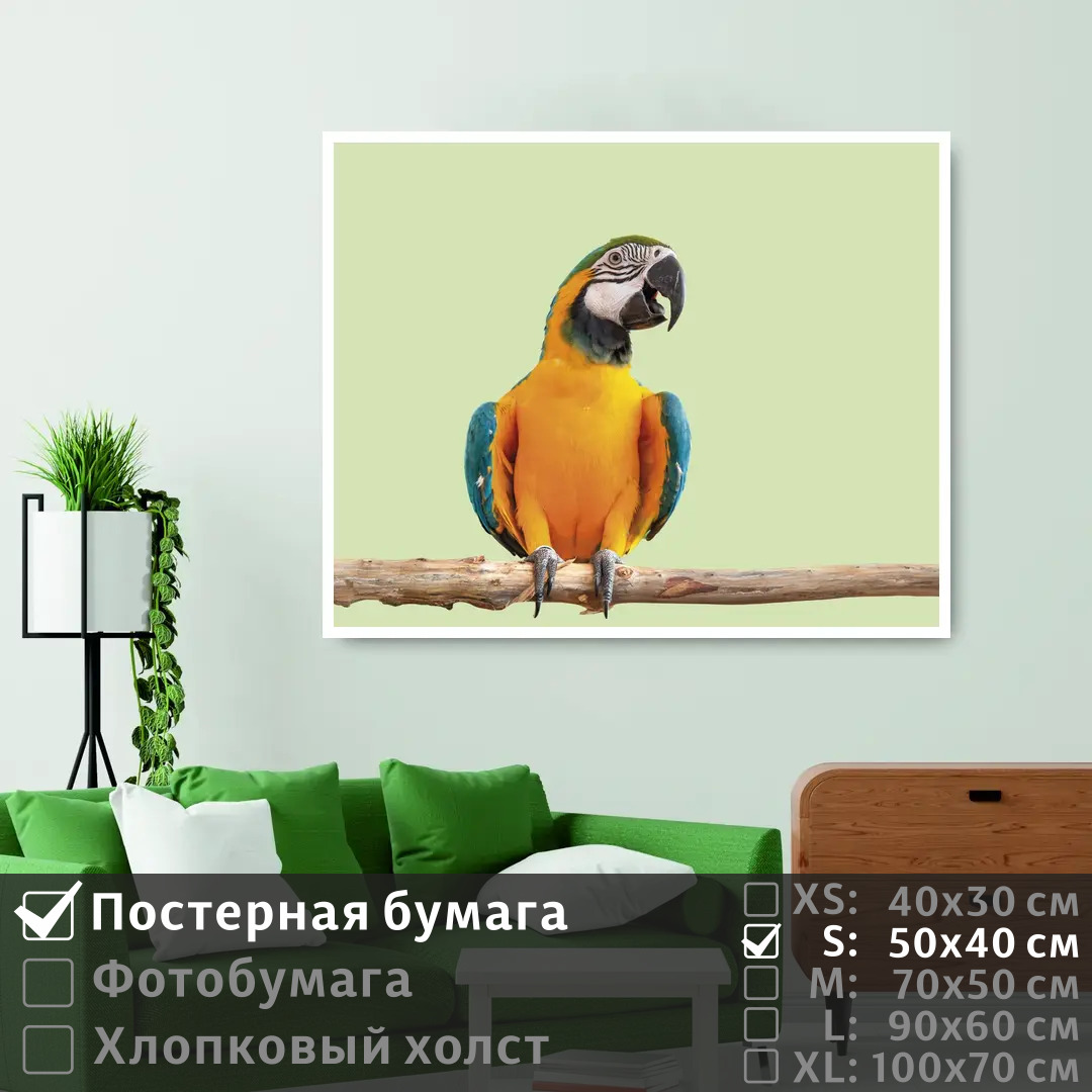 Постер на стену ПолиЦентр Яркий попугай ара на ветке 50х40 см, ЯркийПопугайАраНаВетке
Постер на стену ПолиЦентр Яркий попугай ара на ветке 50х40 см, ЯркийПопугайАраНаВетке