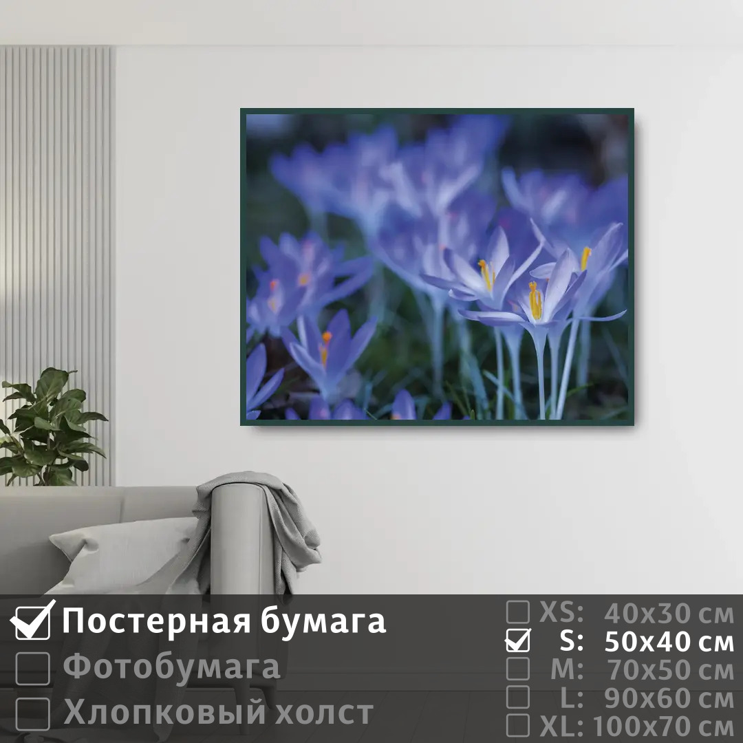 Постер на стену ПолиЦентр Весенние синие цветы крокусы 50х40 см, ВесенниеСиниеЦветыКрокусы
Постер на стену ПолиЦентр Весенние синие цветы крокусы 50х40 см, ВесенниеСиниеЦветыКрокусы