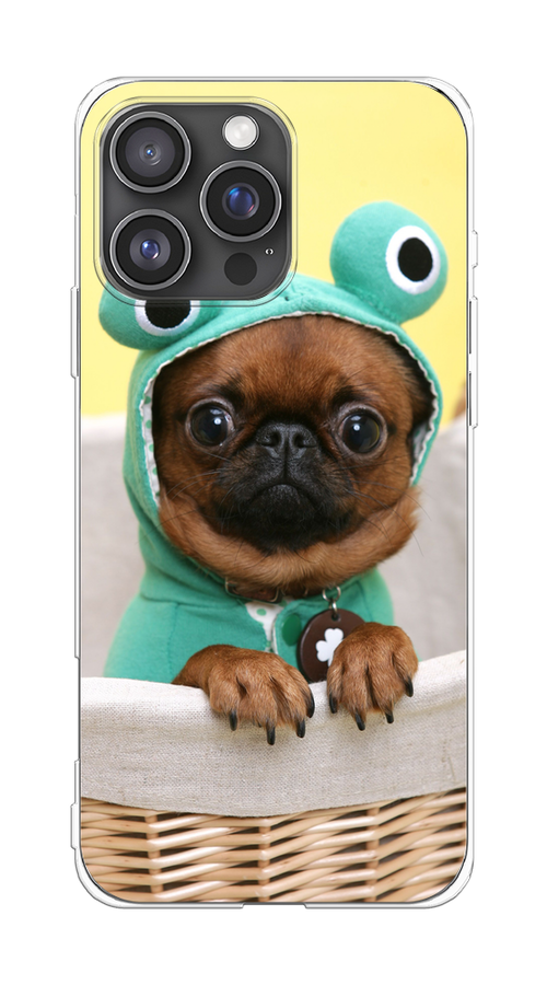 Чехол на Apple iPhone 16 Pro Max "Собачка в шапке лягушки", Коричневый;желтый;бирюзовый, 16350-1
Чехол на Apple iPhone 16 Pro Max "Собачка в шапке лягушки", Коричневый;желтый;бирюзовый, 16350-1