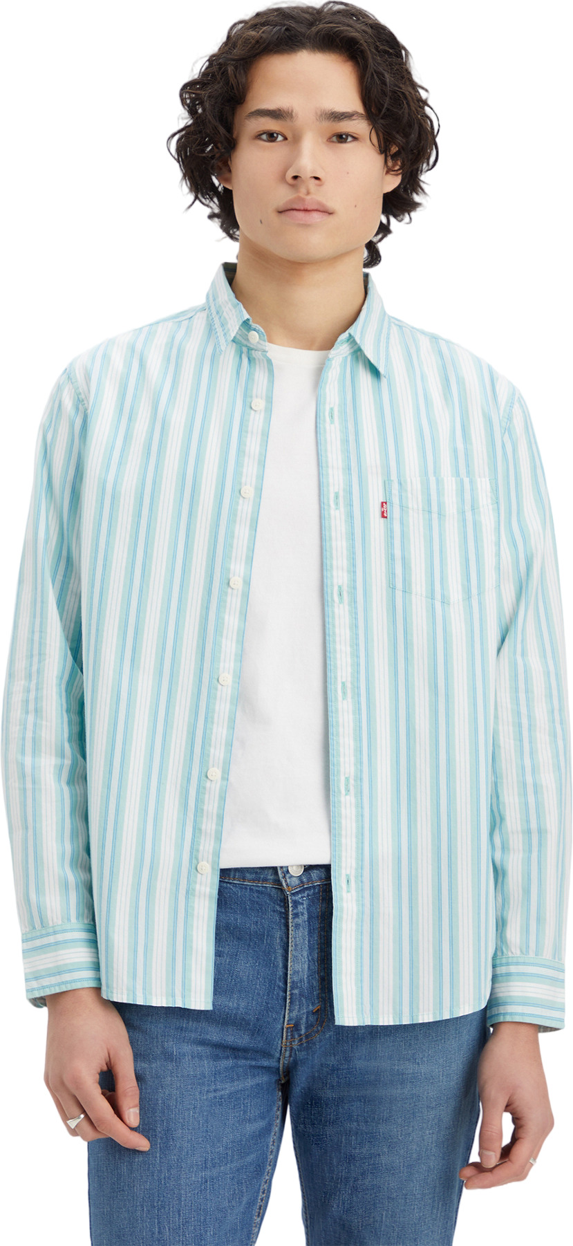 Рубашка мужская Levi's CLASSIC 1 PKT STANDARD BLUES голубая XL, Голубой, CLASSIC 1 PKT STANDARD BLUES
Рубашка мужская Levi's CLASSIC 1 PKT STANDARD BLUES голубая XL, Голубой, CLASSIC 1 PKT STANDARD BLUES